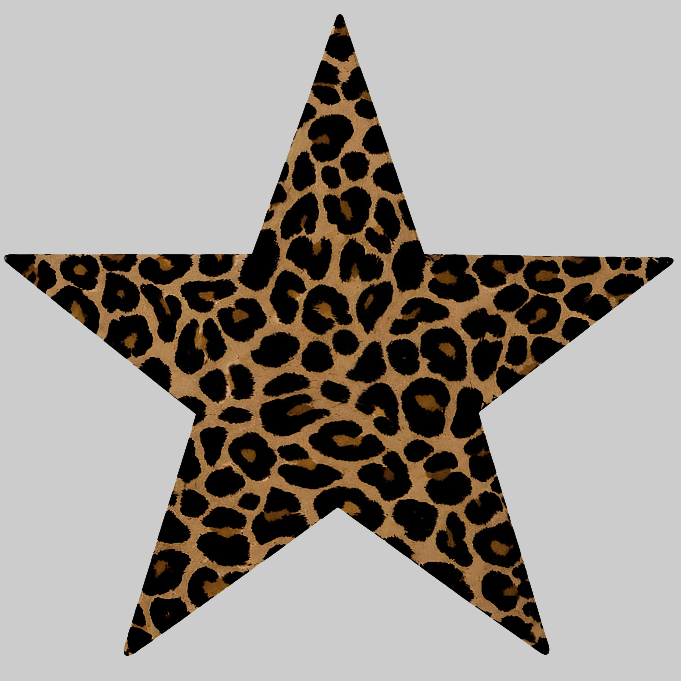 Leopard Print Star | Iron-on Patch | Pinterest Board