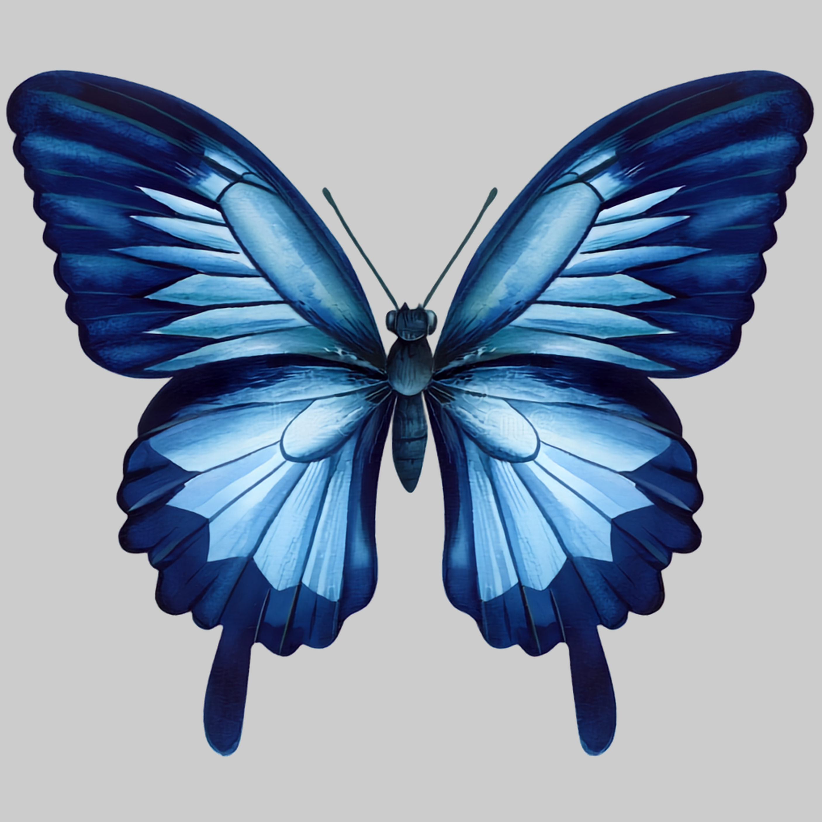 Blue Butterfly | Iron-on Patch | Pinterest Board