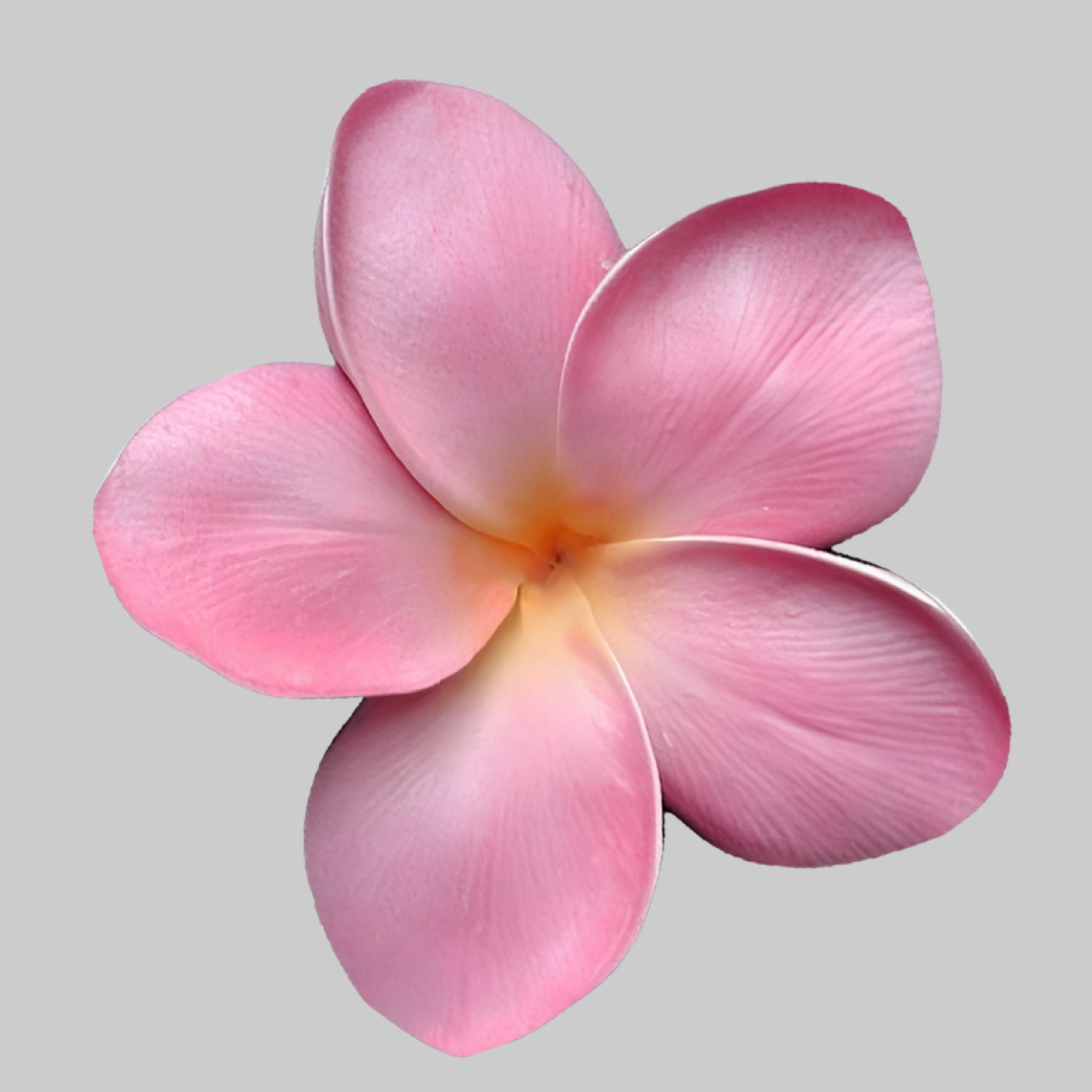 Pink Soft Flower | Iron-on Patch | Pinterest Board